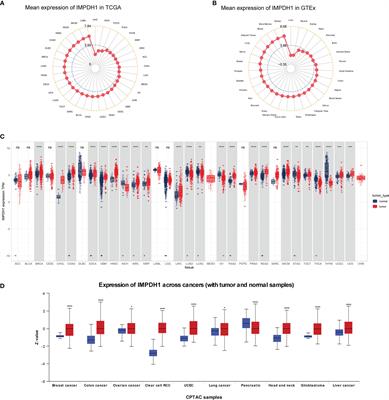 IMPDH1, a prognostic biomarker and immunotherapy target that correlates with tumor immune microenvironment in pan-cancer and hepatocellular carcinoma